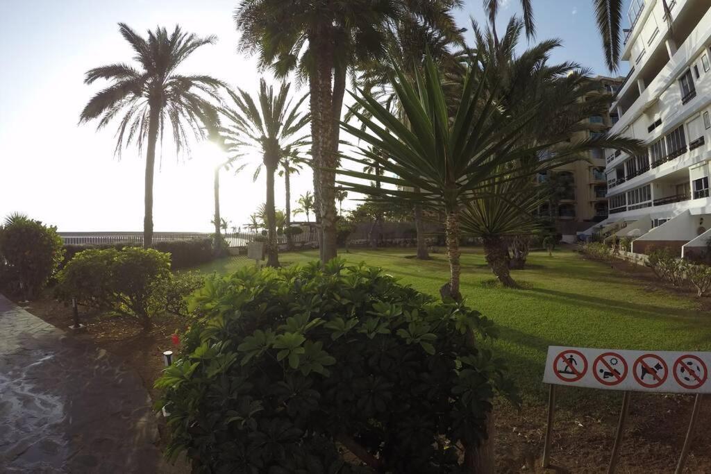Studio Apartment La Lajilla Located At Beachfront Arguineguin 외부 사진
